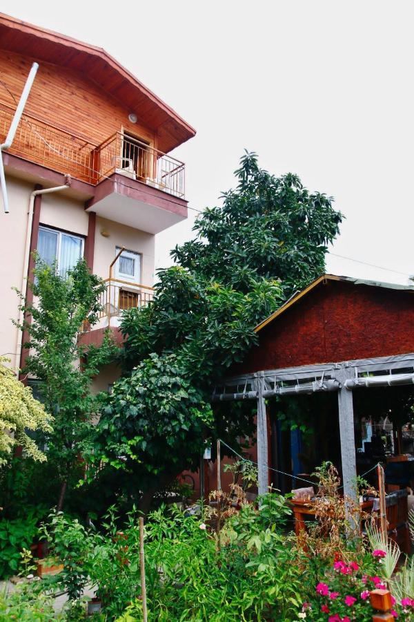 Rosemary Pansiyon Apart Bed and Breakfast Çıralı Esterno foto