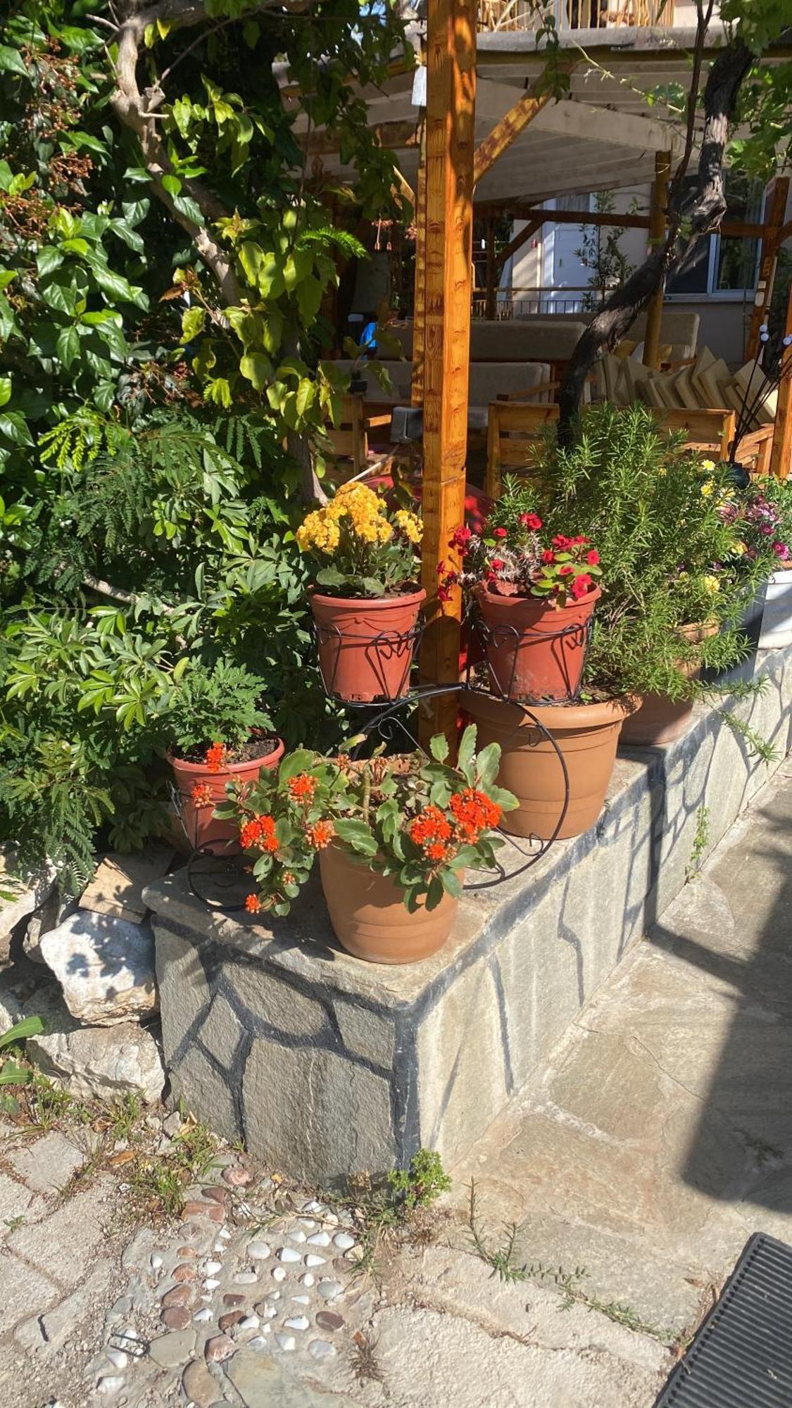 Rosemary Pansiyon Çıralı Esterno foto